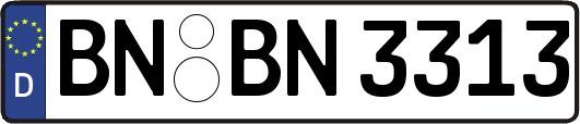 BN-BN3313