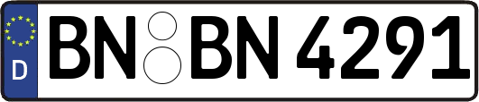 BN-BN4291