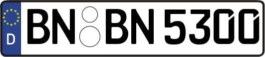 BN-BN5300