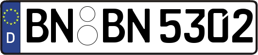 BN-BN5302