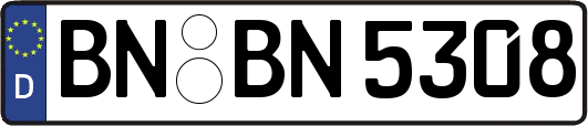 BN-BN5308
