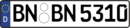 BN-BN5310