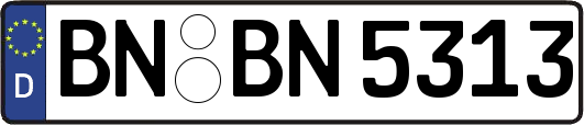 BN-BN5313