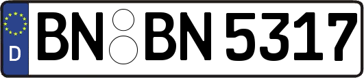 BN-BN5317