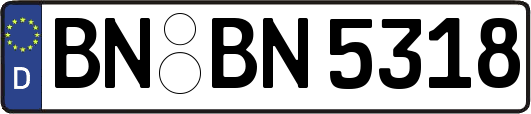 BN-BN5318