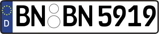BN-BN5919