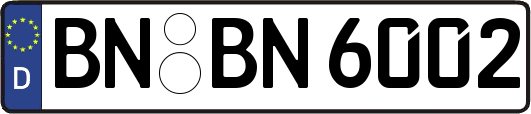 BN-BN6002