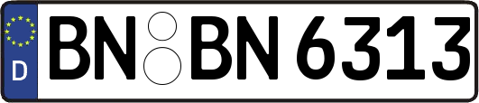 BN-BN6313