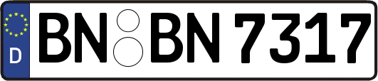 BN-BN7317
