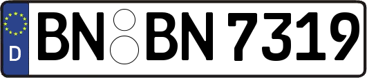 BN-BN7319