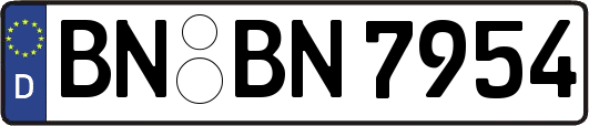 BN-BN7954