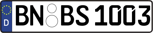 BN-BS1003