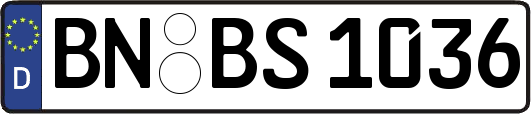 BN-BS1036