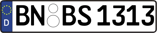 BN-BS1313