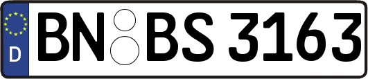 BN-BS3163