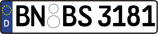 BN-BS3181