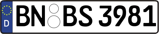 BN-BS3981