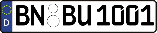 BN-BU1001