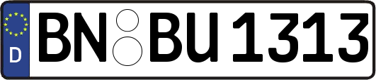 BN-BU1313