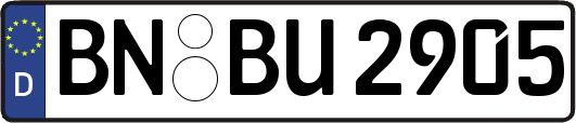 BN-BU2905