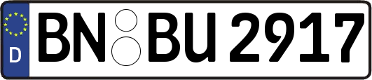BN-BU2917
