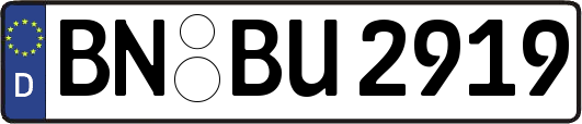 BN-BU2919