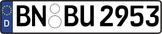 BN-BU2953