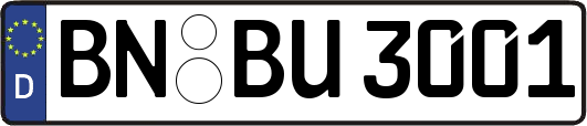 BN-BU3001