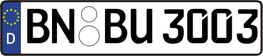 BN-BU3003