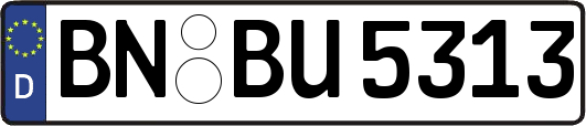 BN-BU5313