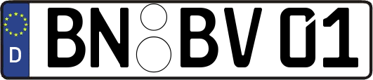 BN-BV01