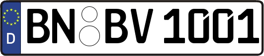 BN-BV1001