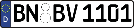 BN-BV1101