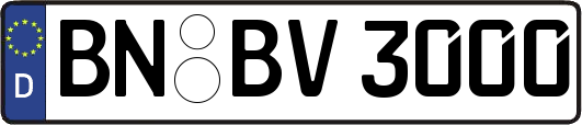 BN-BV3000