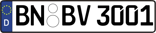BN-BV3001