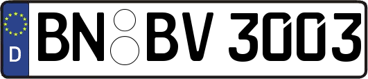 BN-BV3003
