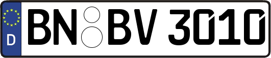 BN-BV3010