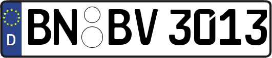 BN-BV3013