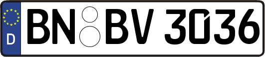BN-BV3036