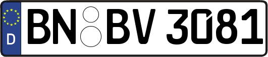 BN-BV3081