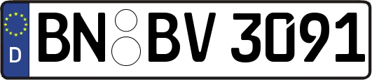 BN-BV3091