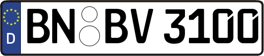 BN-BV3100
