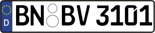 BN-BV3101
