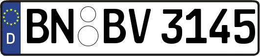 BN-BV3145