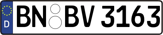 BN-BV3163
