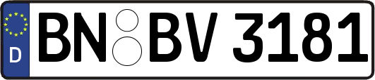 BN-BV3181