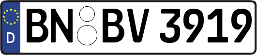 BN-BV3919