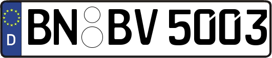 BN-BV5003