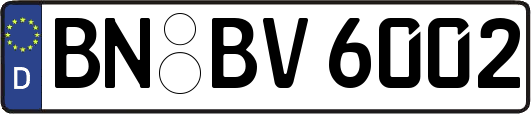 BN-BV6002