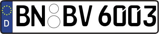 BN-BV6003